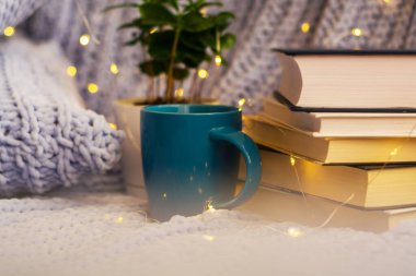 Mavi örülmüş kareli kumaş ve yastıkların arka planında saksıda çiçekler, kitaplar, bir kupa çay, bir çelenk. Ev işi.