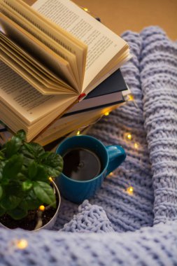 Mavi örülmüş kareli kumaş ve yastıkların arka planında saksıda çiçekler, kitaplar, bir kupa çay, bir çelenk. Ev işi.