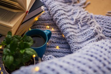 Mavi örülmüş kareli kumaş ve yastıkların arka planında saksıda çiçekler, kitaplar, bir kupa çay, bir çelenk. Ev işi.