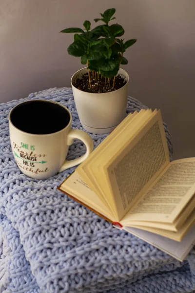 Background Blue Knitted Plaid Pillows Cosy House Flower Pot Books — Stock Photo, Image