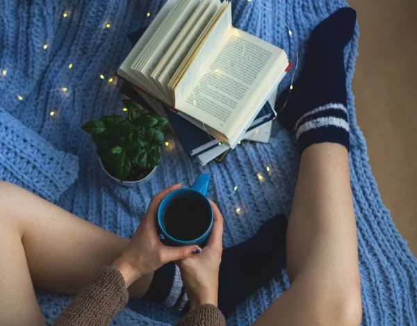 Fondo Cuadros Punto Azul Almohadas Casa Acogedora Con Flor Maceta —  Fotos de Stock