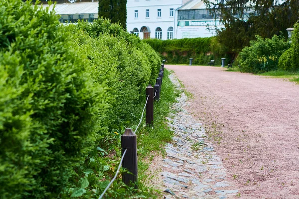 Breiter Schotterweg Grünem Garten Park Frühling Mit Sträucherzäunen — Stockfoto