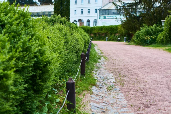 Breiter Schotterweg Grünem Garten Park Frühling Mit Sträucherzäunen — Stockfoto