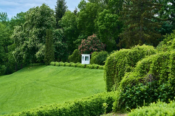 Kleine Weiße Wache Grünen Frühlingspark Mit Rosa Edelkastanien Der Raum — Stockfoto