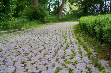 Modern fayans parkında güzel asfalt yollar ve yeşil çitli taşlar. İnsanlar olmadan.
