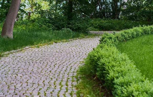 Schöner Gepflasterter Weg Modernen Park Aus Fliesen Und Stein Mit — Stockfoto