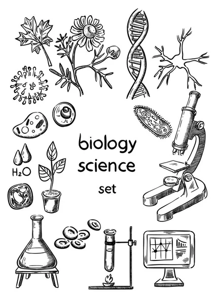 Conjunto de dibujo a mano de ciencia biológica — Archivo Imágenes Vectoriales