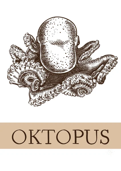 Oktopus Bild Handzeichnung Skizze — Stockvektor
