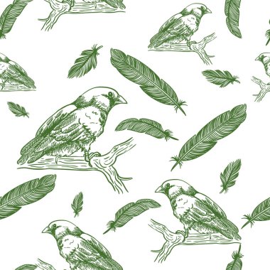 Kuşlar ve tüyleri sorunsuz