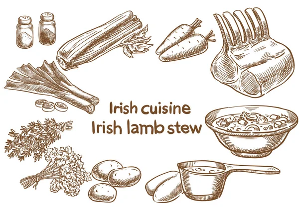 Ierse keuken. Ierse lambstew ingrediënten. Schets, tekening. — Stockvector