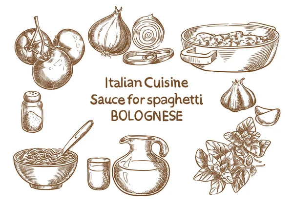 Italian cuisine. Sause for spahetti bolognese ingredients vector — Stock Vector