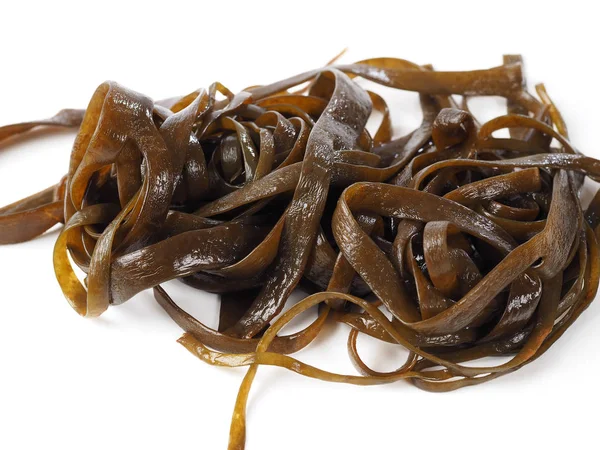 Thongweed Sea Thong Sea Spaghetti Espagheti Marsea Spaghetti Brown Algae — Stock Photo, Image