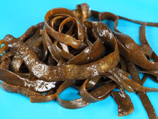 Thongweed Sea Thong Sea Spaghetti Espagheti Marsea Spaghetti Brown Algae — Stock Photo, Image