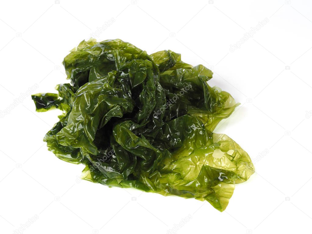 Sea lettuce  Lechuga de MarEdible green algae in the family Ulvacceae. Binomial name: Ulva lactuta.