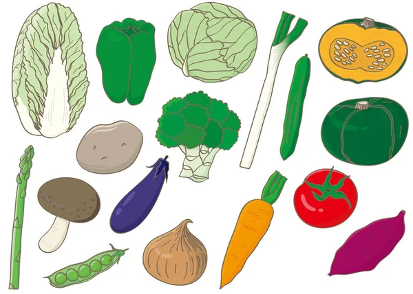 पूर्ण रंग के सब्जियों के प्रतीक का चित्रण संग्रह . — स्टॉक वेक्टर