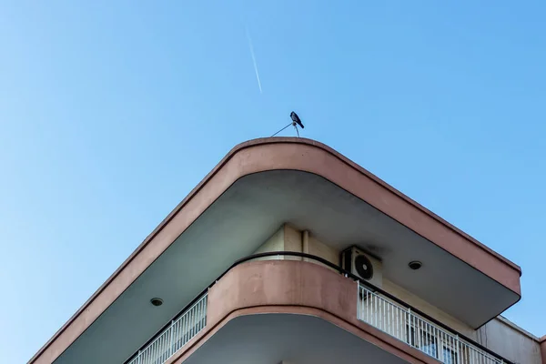 Une pousse architecturale ascendante vers le coin d'un vieux bâtiment  - — Photo