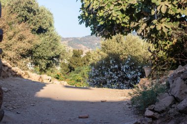 Ormanın içindeki bir dağ yolundan geniş bir manzara. Fotoğraf İzmir / Türkiye 'de çekildi.