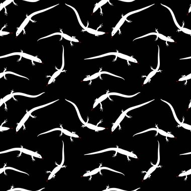 Kertenkele beyaz silüeti