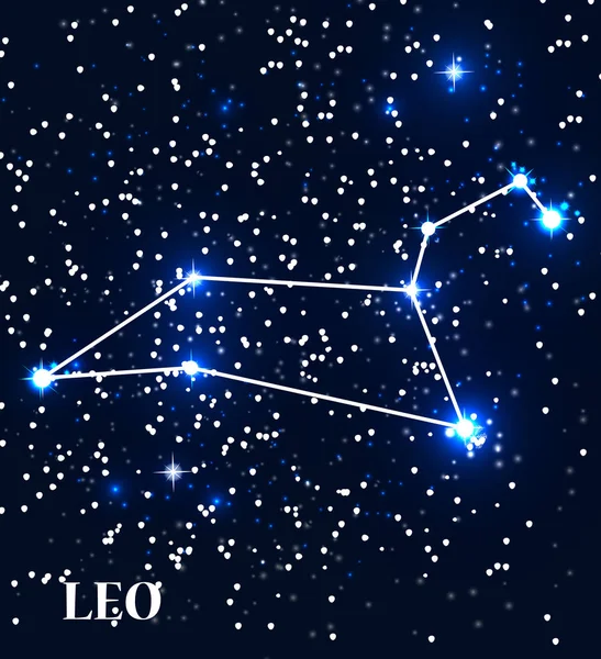 Simbolo Leo Segno zodiacale. Illustrazione vettoriale . — Vettoriale Stock