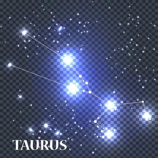 Simbolul Taur Zodiac Semn. Vector Illustration . — Vector de stoc