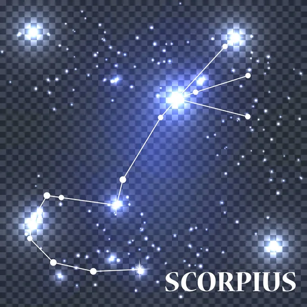 Simbolo Scorpius Segno zodiacale. Illustrazione vettoriale . — Vettoriale Stock