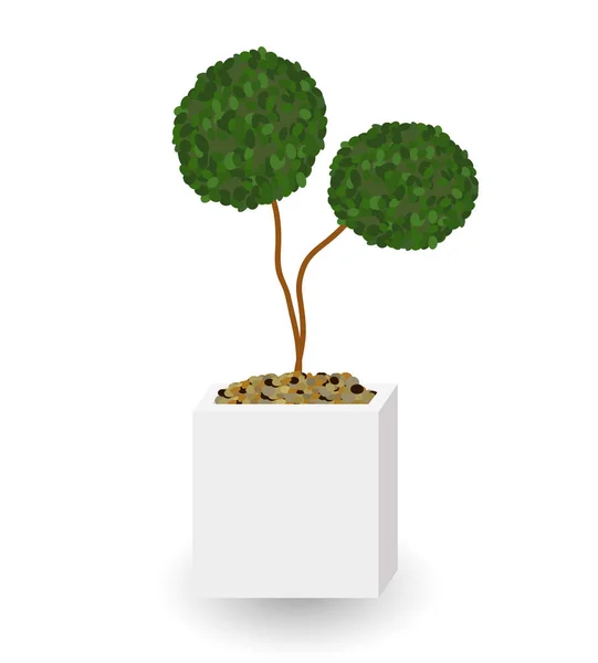 Domácí zelené rostliny v Nice Pot. Vektorové ilustrace. — Stockový vektor