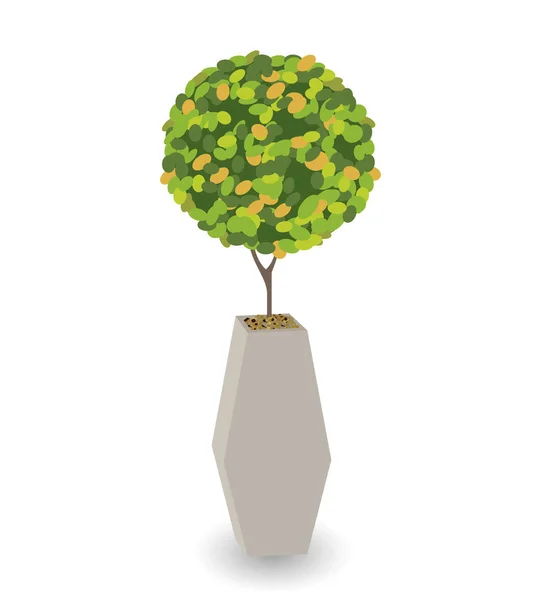 Inicio Planta verde en Nice Pot. Ilustración vectorial . — Vector de stock