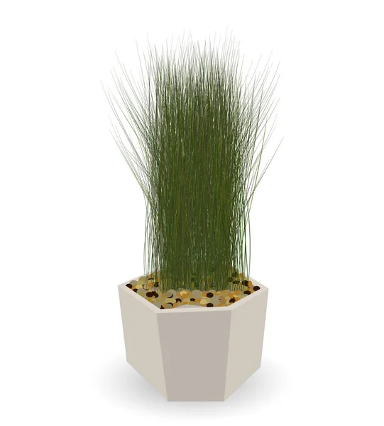Huis groene Plant in een mooie Pot. Vectorillustratie. — Stockvector