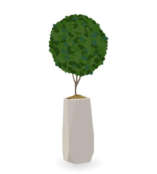 Inicio Planta verde en Nice Pot. Ilustración vectorial . — Vector de stock