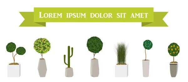 Inicio Planta verde en Nice Pot. Ilustración vectorial . — Archivo Imágenes Vectoriales