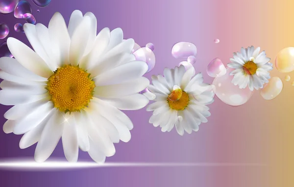 Абстрактні квіти ромашки Натуральний весняно літній фон — стоковий вектор