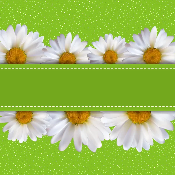 Resumen Flores de manzanilla Fondo natural de primavera y verano — Vector de stock