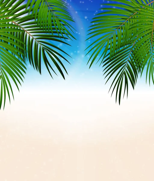 Palm Leaf vektor bakgrund Illustration — Stock vektor