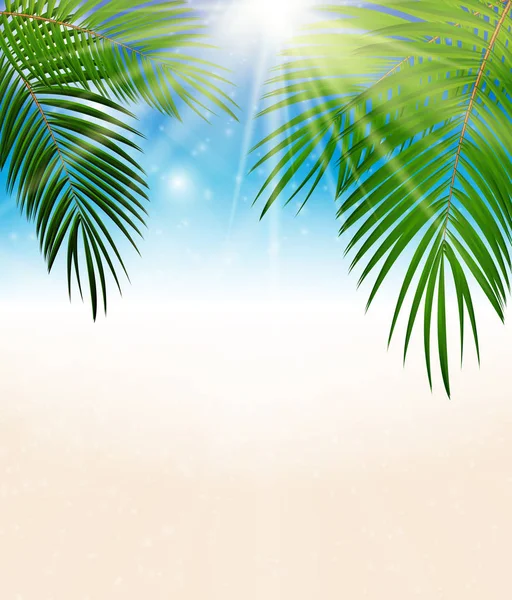 Palm Leaf Vector Background Illustration — Stock Vector