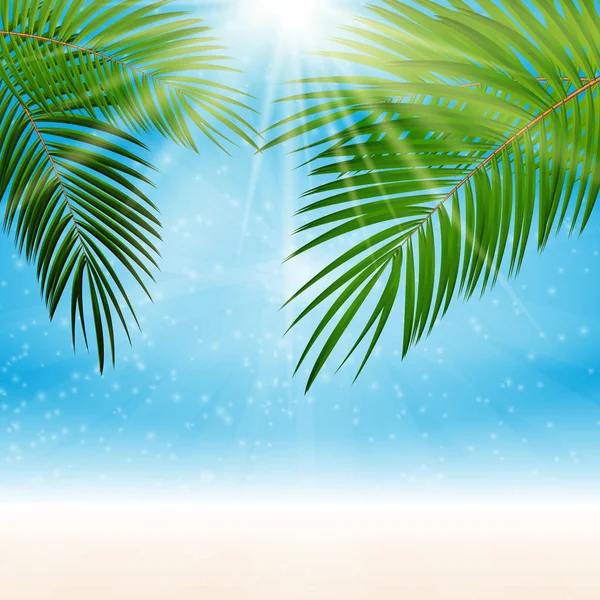 Palm blad vectorillustratie achtergrond — Stockvector