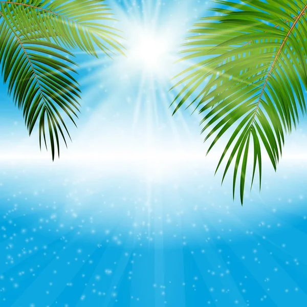 Palmiye yaprağı vektör arka plan illüstrasyon — Stok Vektör