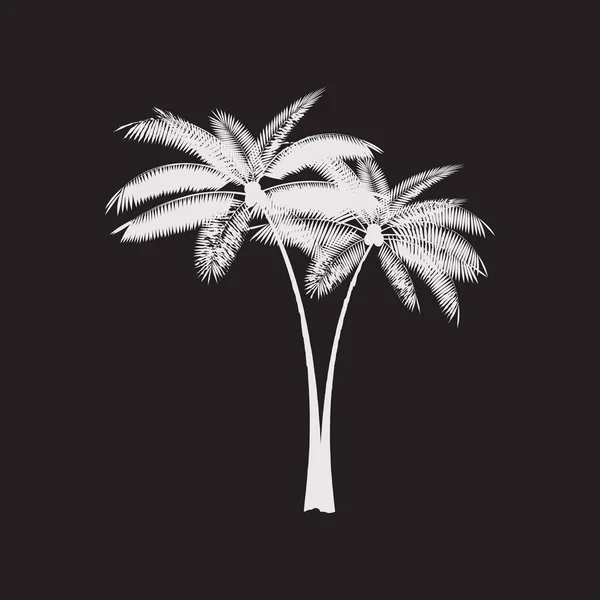 Palm blad vectorillustratie achtergrond — Stockvector