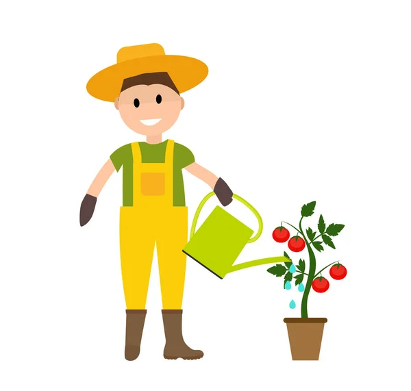 Jardinier agriculteur homme avec arrosoir et plante de tomate dans moderne — Image vectorielle