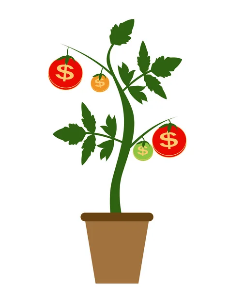 Цветное денежное дерево, зависимость от концепции финансового роста . — стоковый вектор