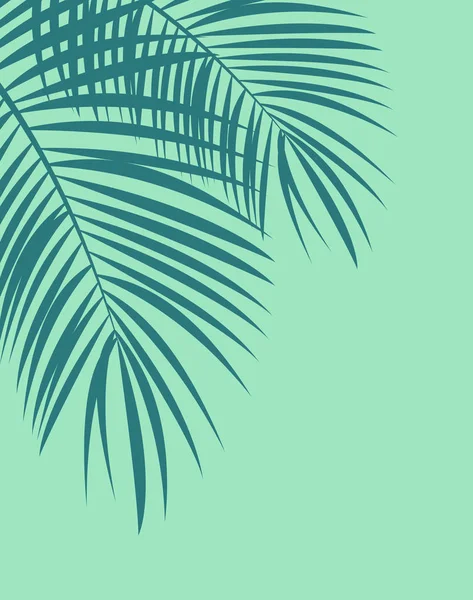 Ilustrasi Latar Belakang Palm Leaf Vector - Stok Vektor