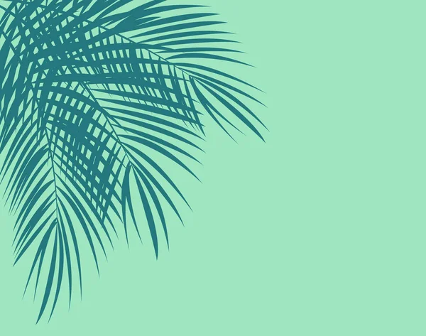 Ilustrasi Latar Belakang Palm Leaf Vector - Stok Vektor