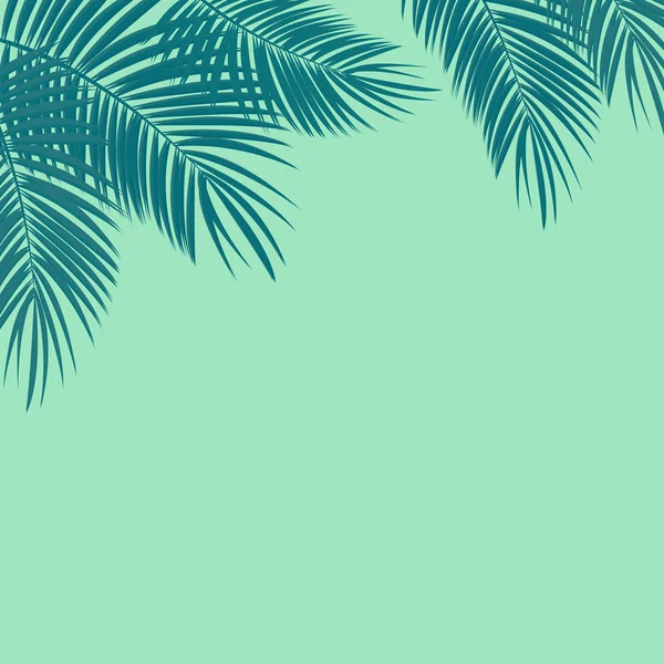 Palm Leaf Vector Background Illustration — Stock Vector