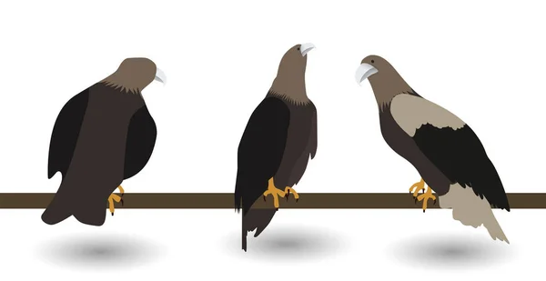 Set of silhouettes of fast living dangerous eagle on white Backg — Stock Vector