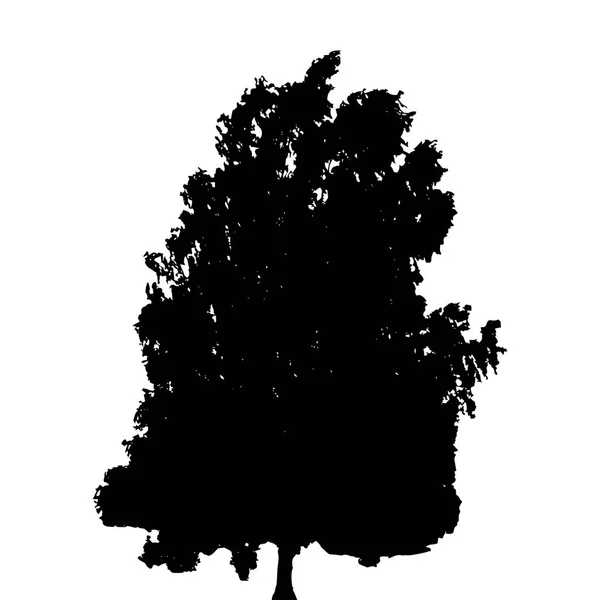 Black and White Silhouette of Deciduous Tree, whose branches dev — Stock Vector