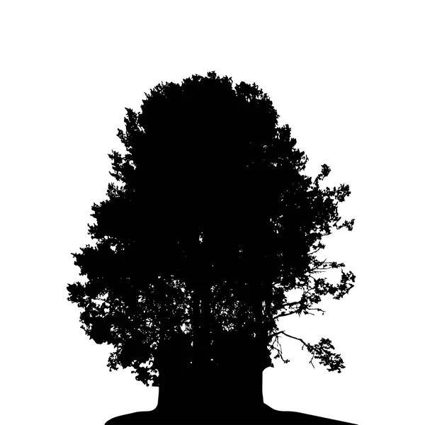 Silhouette in bianco e nero dell'albero deciduo, i cui rami dev — Vettoriale Stock