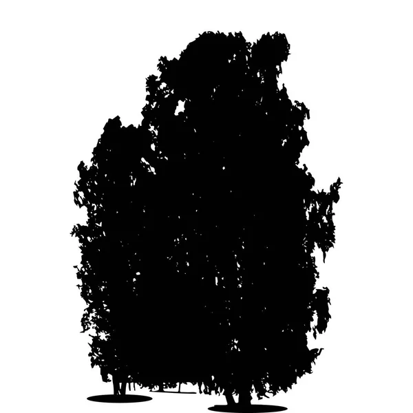 Silhouette noire et blanche de l'arbre à feuilles caduques, dont les branches dev — Image vectorielle