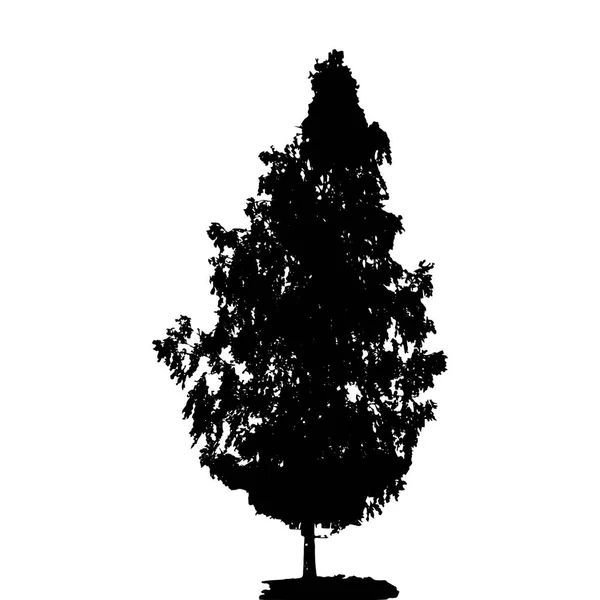Silhueta preta e branca de Árvore Caduca, cujos ramos dev — Vetor de Stock