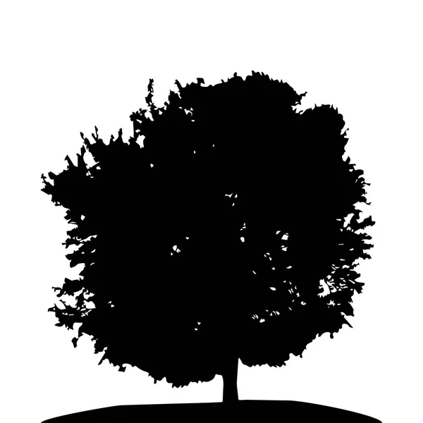 Siyah ve beyaz yaprak döken ağaç siluet, kimin dalları dev — Stok Vektör