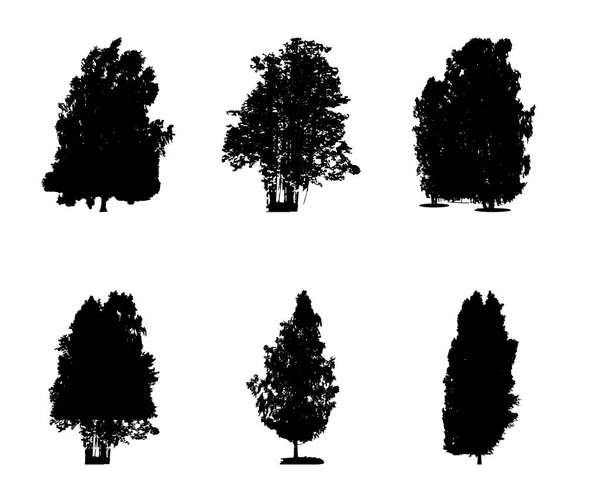 Sada černá a bílá silueta listnatý strom, jehož branc — Stockový vektor
