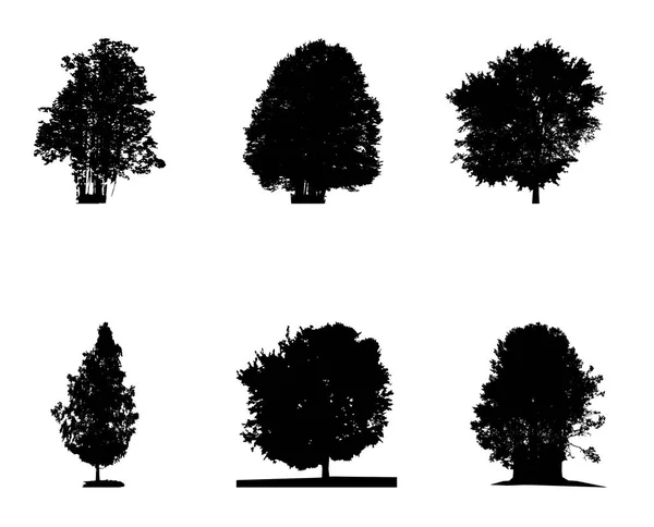 Set di silhouette in bianco e nero di albero deciduo, la cui branca — Vettoriale Stock